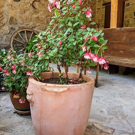 Appartamento Olmares Picos De Europa - 4 Personas